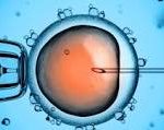 ivf-150x119 Acupuncture for fertility Whitfield